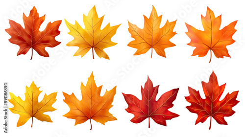 Vibrant autumn maple leaves in shades of orange, yellow, and red, isolated on a white background, capturing the beauty of fall foliage