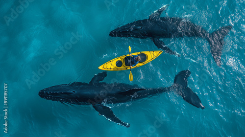 Orcas swimming alongside a yellow kayak in deep blue waters - beautiful drone footage photo