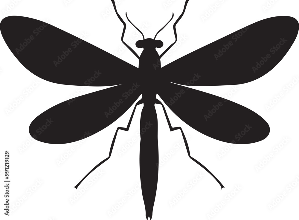 dragonfly vector dragonfly vector