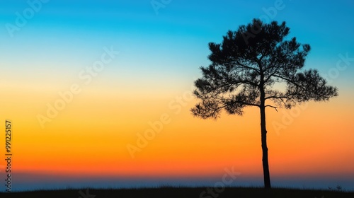 Silhouette of a solitary tree set against a gradient sky featuring hues of orange and blue during twilight