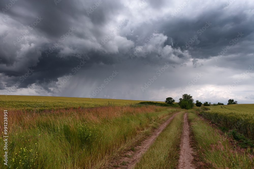 Fototapeta Spring summer thunderstorm rural road among fields
