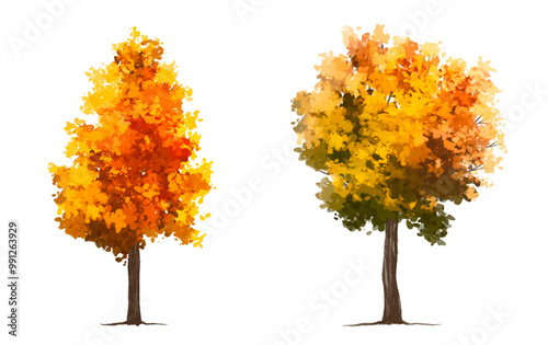 vector of autumn tree for landscape scene,watercolor plant for architecture drawing, environment and garden,botanical elements ,blooming tree in autumn 