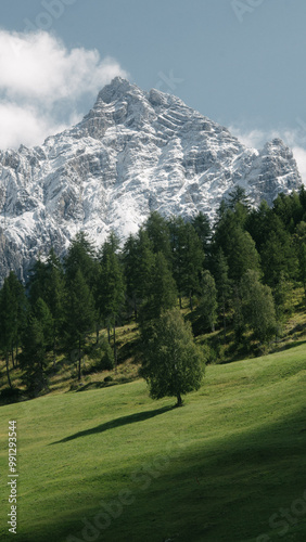 Obraz na płótnie Idyllic alpine scenery in the Swiss Alps with rugged mountain peaks and green pastures w salonie