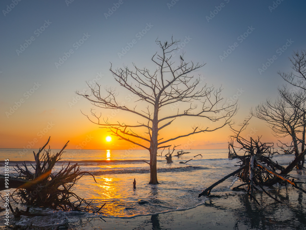 sunrise at Driftwood Beach in Jekyll Island, GA sunrise at Driftwood Beach in Jekyll Island, GA