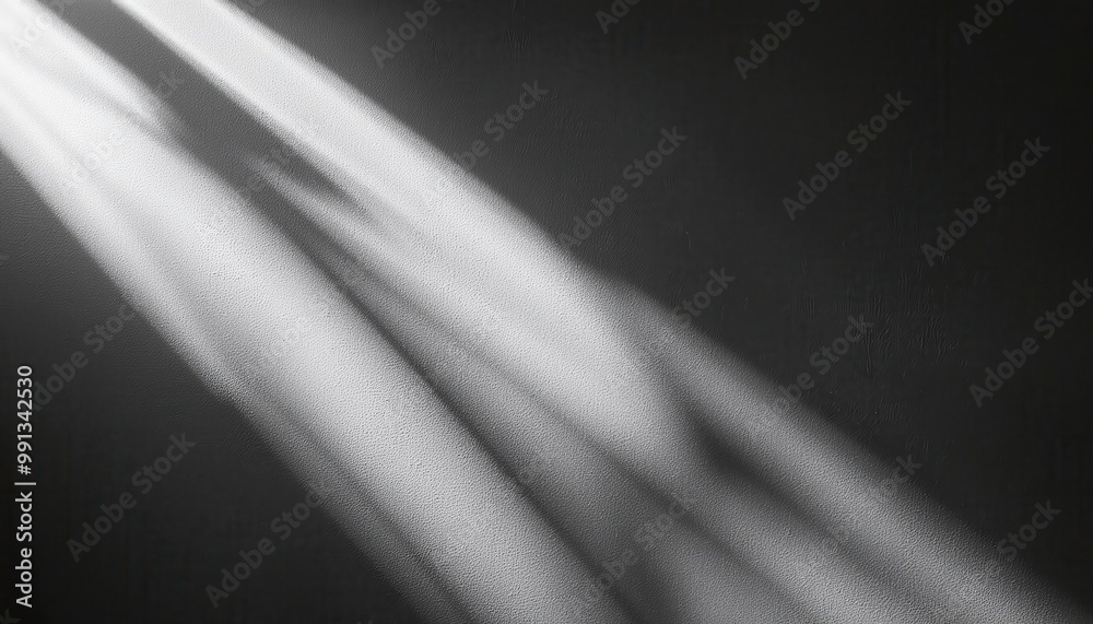 Abstract Shadow of Thorny Branches Cast Against a Sunlit Wall, Creating an Eerie Contrast of Light and Dark Textures in a Minimalist Setting. Background For Product Mockup Abstract Shadow of Thorny Branches Cast Against a Sunlit Wall, Creating an Eerie Contrast of Light and Dark Textures in a Minimalist Setting. Background For Product Mockup