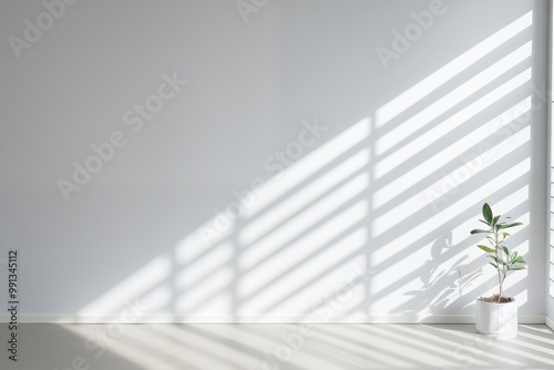 A lush potted plant stands before a sunlit wall, highlighting the beauty of nature in a bright environment.

