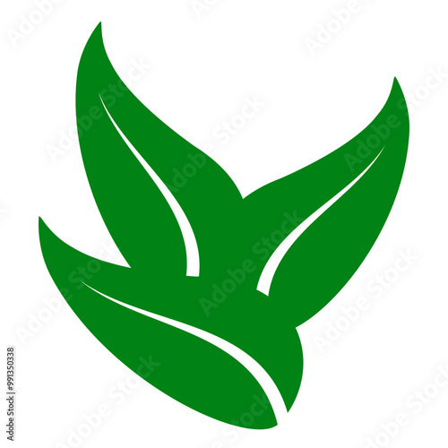 shape collection different green leaves of tree, plants, leaf and swirls branches. Stock vector icon, isolated white background. Element for ecographic, natural design, vegan logo, bio labels photo