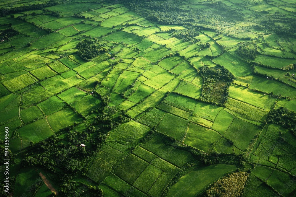 Fototapeta premium A breathtaking view of a verdant countryside from above, showcasing the beauty of rural landscaping and agriculture.