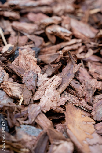 Explore the stunning and diverse textures of natural wood mulch, which is perfect for enhancing the beauty of your landscaping and gardening projects