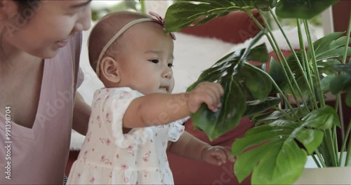 Cute Asian baby girl grabbing artificial decoration tree. Candid shot - infant playing and exploring their world and their body. Mother and child learning helps development.