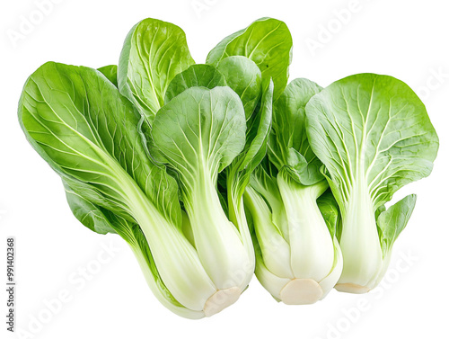a group of green vegetables
