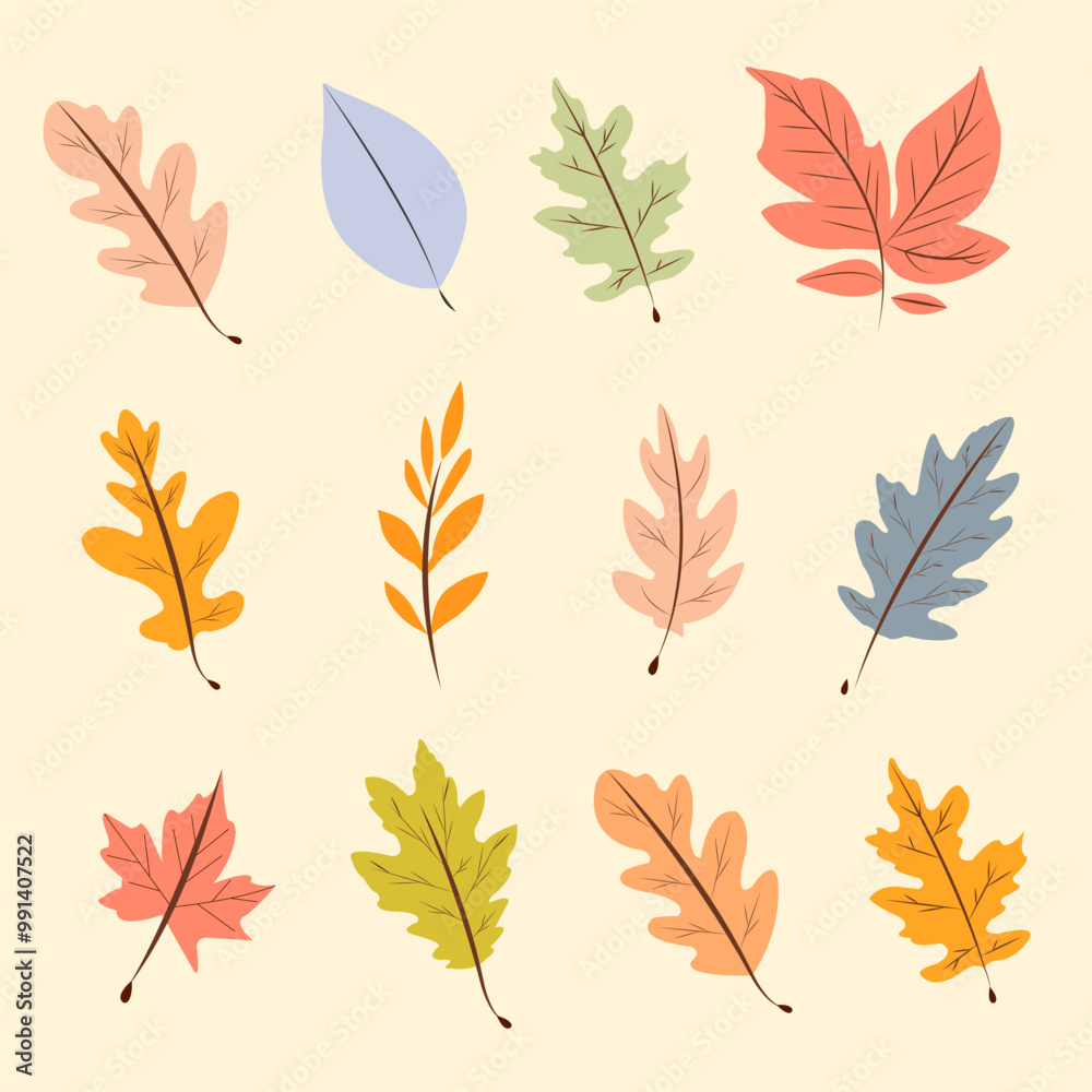 Obraz premium set of collection autumn leaves vector