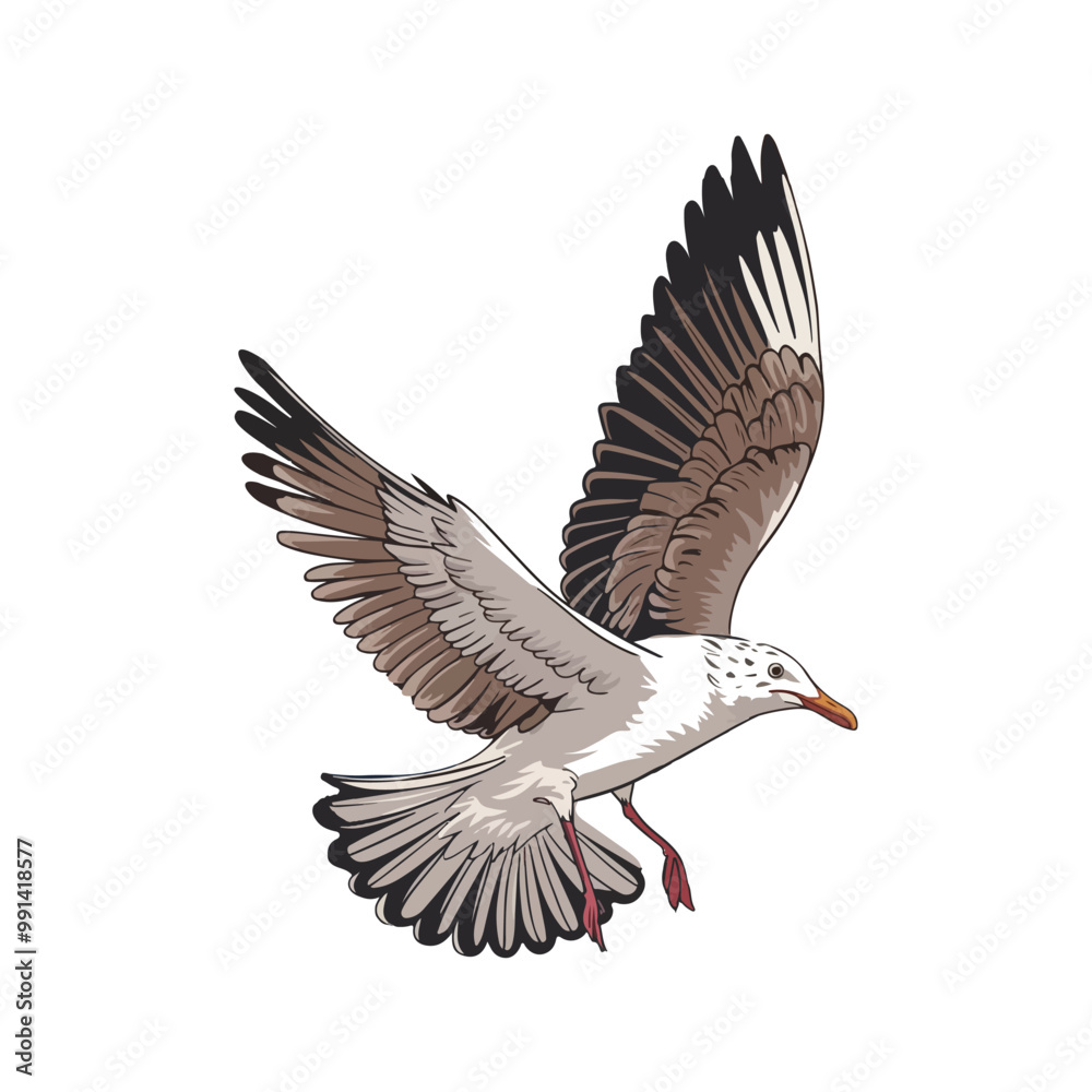 Obraz premium Seagull flying vector art