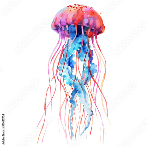 Watercolor vector of Jellyfish, isolated on a white background, and Jellyfish vector