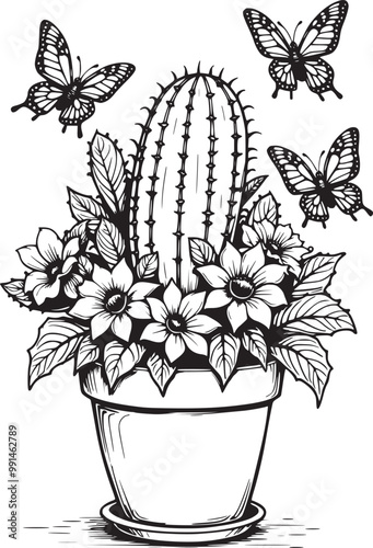 Cactus in a flowerpot, giant butterflies hovering over the flowers. Vector coloring page
