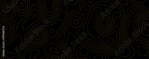 Contour Line Art A Black Color Topography Illustration with Wavy Grid Patterns and Mountain Relief for Social Media Banners and Frames
