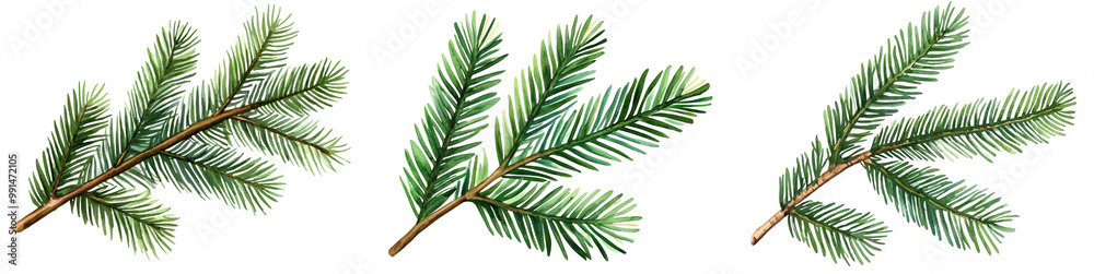 Realistic green Christmas tree branches, isolated on transparent background Realistic green Christmas tree branches, isolated on transparent background