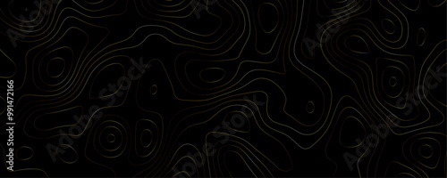 Black and Gold Topography A Geometric Map Design with Contoured Relief Lines and Abstract Terrain Illustration for Luxury Travel Concepts
