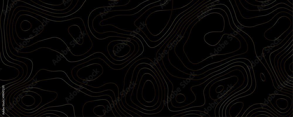 Modern Cartography Banner A Dark Topographic Design with Wavy Geometric Patterns and Gold Contour Lines for Geographic Exploration
Modern Cartography Banner A Dark Topographic Design with Wavy Geometric Patterns and Gold Contour Lines for Geographic Exploration