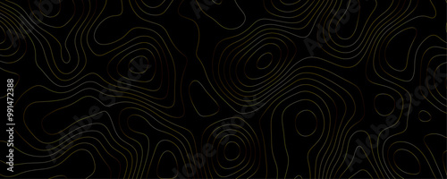 Modern Cartography Banner A Dark Topographic Design with Wavy Geometric Patterns and Gold Contour Lines for Geographic Exploration
