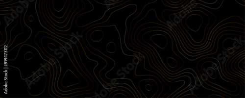 Dark Topographic Art A Modern Geography Illustration with Gold Contour Lines and Physical Relief Patterns in a Luxury Landscape Design
