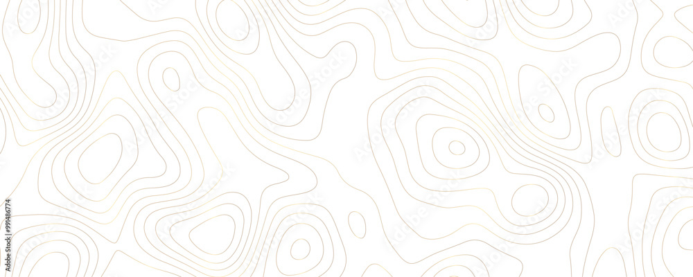 Premium Topographic Background An Abstract Vector Landscape with Distorted Geometric Contours Gold Lines and Terrain Sketches