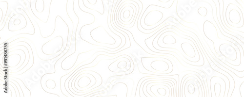 Wallpaper Mural Geometric Topography Design Abstract Gold and White Vector Map with Flowing Curves and Contour Lines in a Wide Terrain Illustration Torontodigital.ca