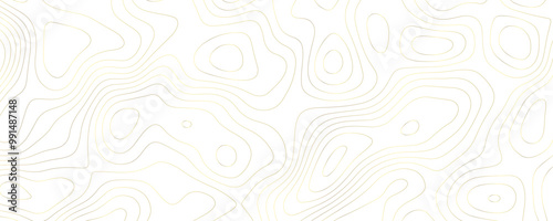 Wallpaper Mural Geographic Topology A Wide Vector Art Illustration of Gold and White Terrain Contours Wavy Patterns and Topographic Texture Torontodigital.ca