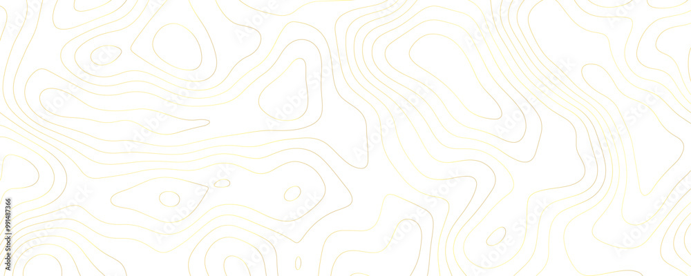 Abstract Curves in Topographic Terrain A Wide Landscape Design with Gold Outline Map Patterns and Premium Geometric Contours Abstract Curves in Topographic Terrain A Wide Landscape Design with Gold Outline Map Patterns and Premium Geometric Contours