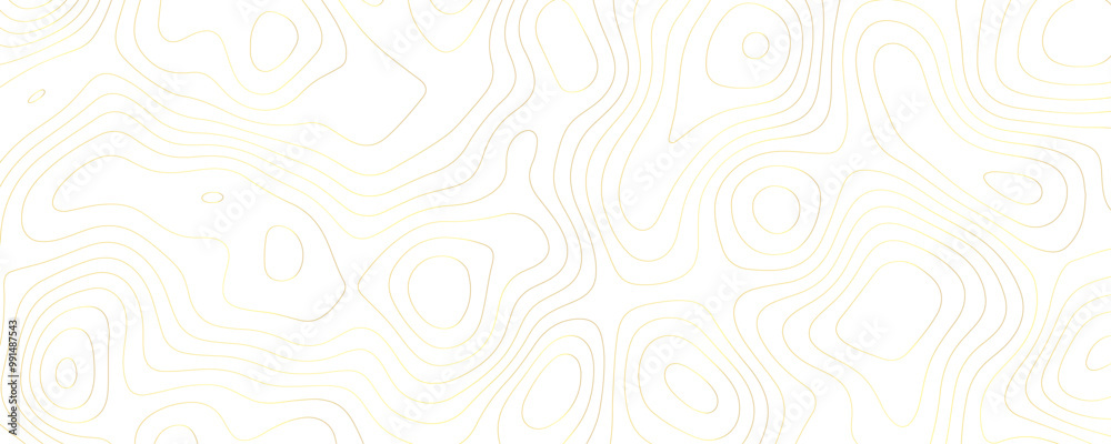 Contoured Geo-Design Abstract Gold and White Vector Topography with Wavy Lines Mountain Terrain and a Distorted Geographic Background Contoured Geo-Design Abstract Gold and White Vector Topography with Wavy Lines Mountain Terrain and a Distorted Geographic Background