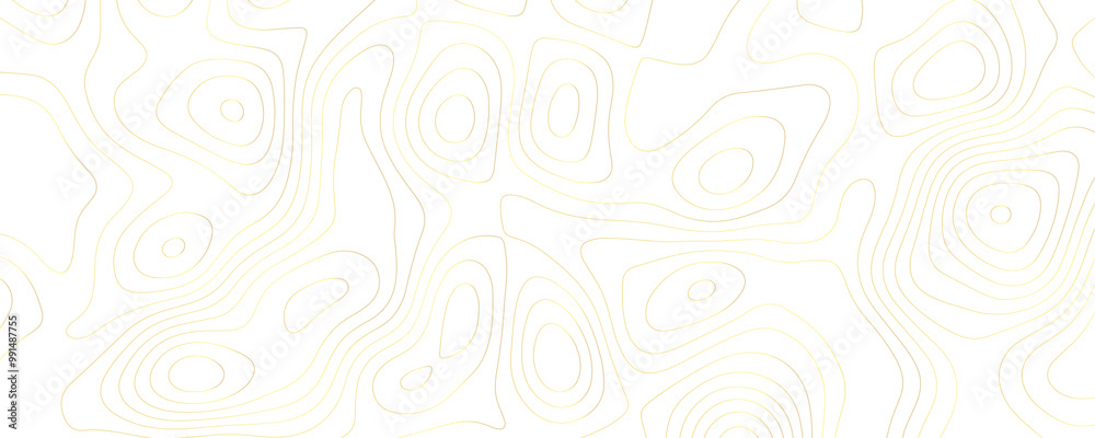 Luxury Topography and Terrain Art A Geometric Abstract Vector Map with Flowing Curves Organic Shapes and Topographic Patterns Luxury Topography and Terrain Art A Geometric Abstract Vector Map with Flowing Curves Organic Shapes and Topographic Patterns
