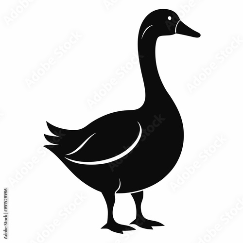 goose isolated on white