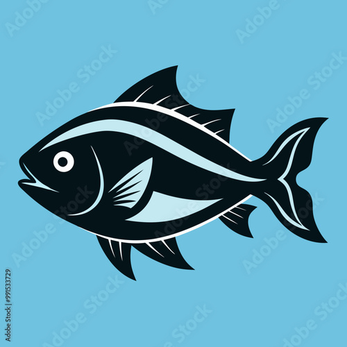 fish on a white background