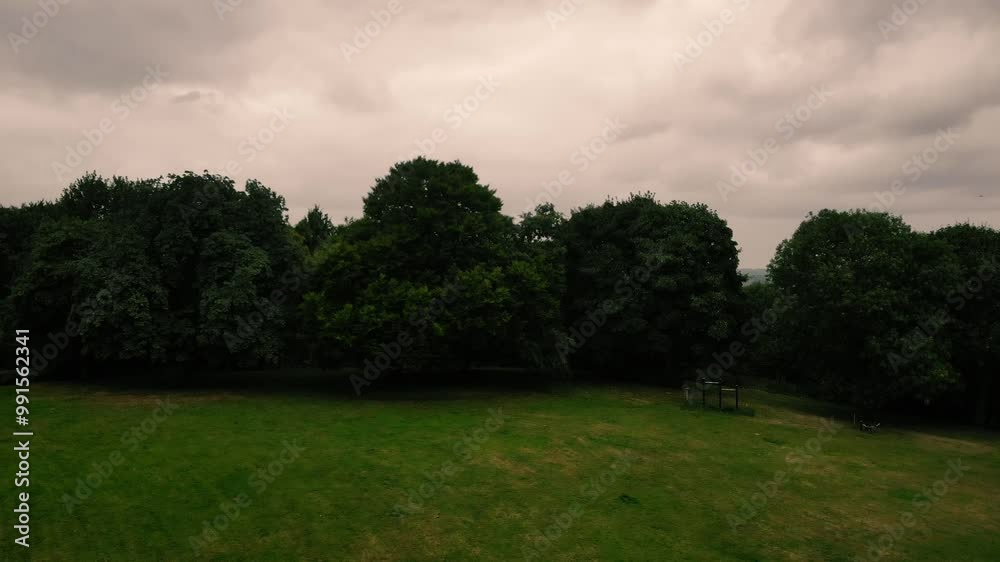 Park lawn grass with tall trees with stormy grey clouds Park lawn grass with tall trees with stormy grey clouds