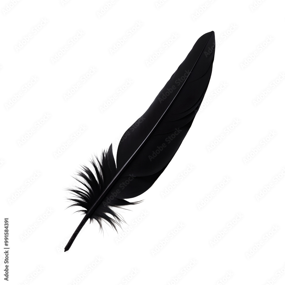 Dark crow feather on white backdrop perfect for Halloween themes Dark crow feather on white backdrop perfect for Halloween themes