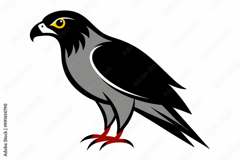 Fototapeta premium Creative vector design of African goshawk bird