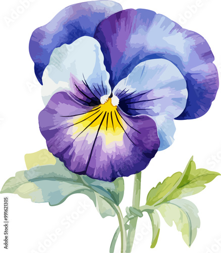 pansy flower