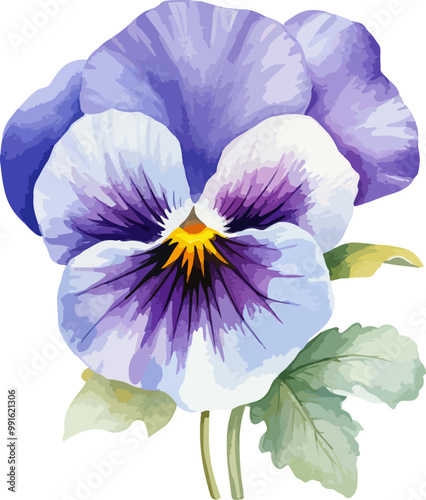 pansy flower