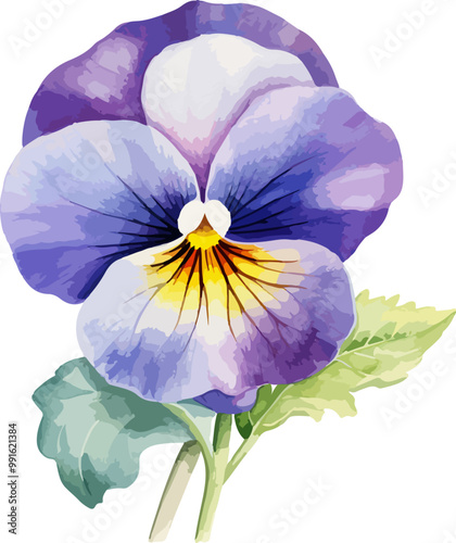 pansy flower