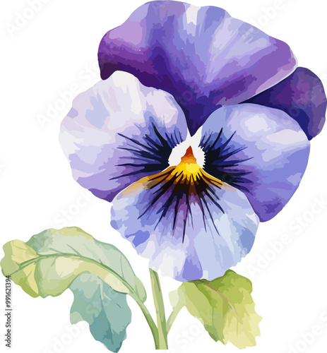 pansy flower