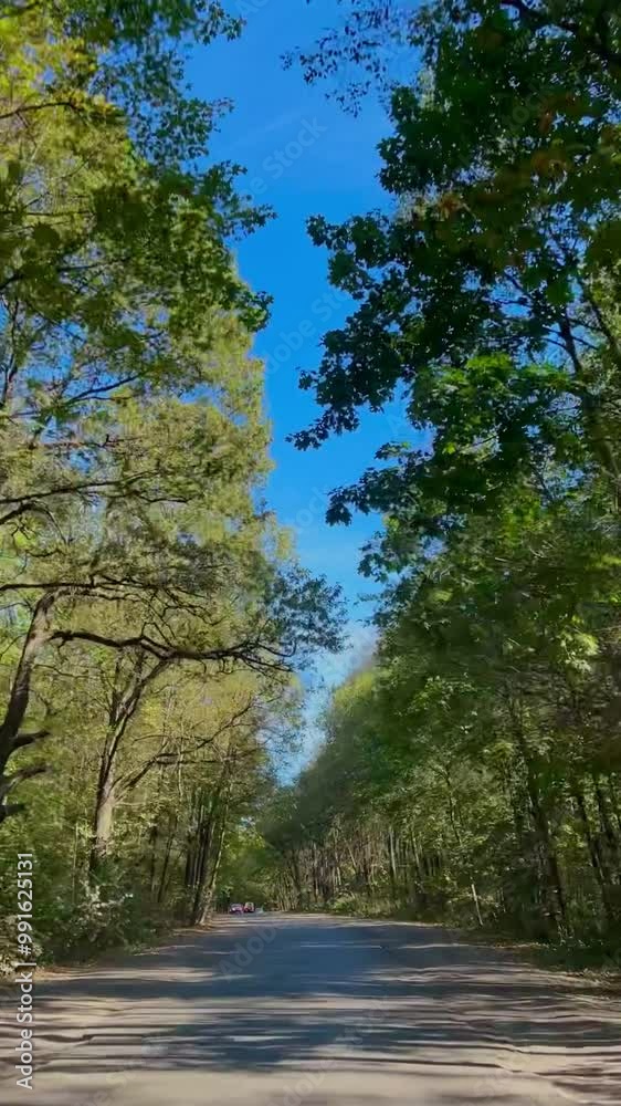 Beautiful view of flat field with some trees and forest in horizon from fast moving car passenger side window, driving plate.