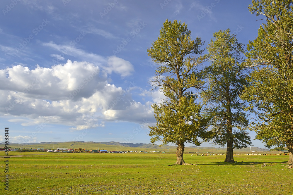 A typical landscape of central Mongolia