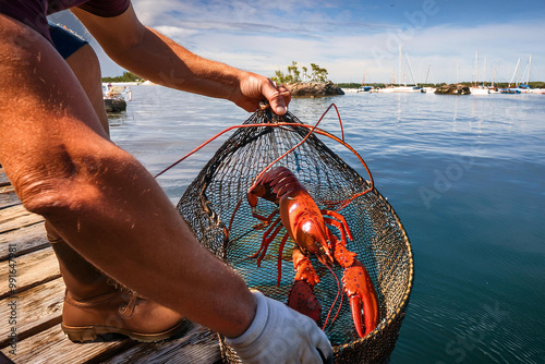 man holding a lobster that was just caught in a trap photo