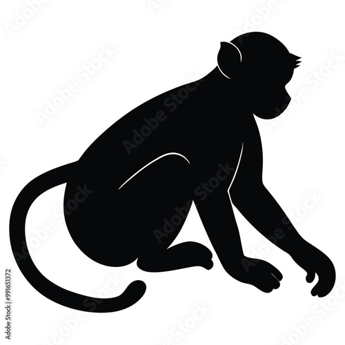 a black silhouette of a monkey. The monkey is sitting on its hind legs with its front paws on the ground and its tail curled around its body