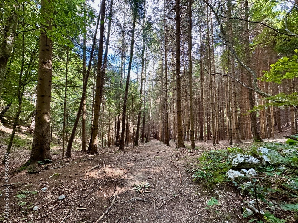 Fototapeta premium Molveno