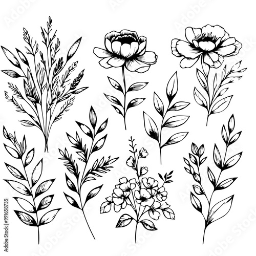 Botanical line bakground with flowers and leaves. Floral foliage for wedding invitation, wall art or card template 13 .ai