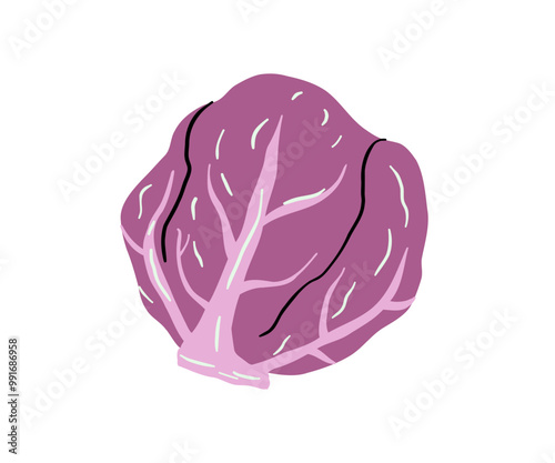 Purple cabbage drawn by hand. Vegetables, healthy food. Vector illustration in flat style.
