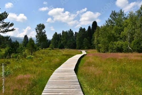Fototapeta Naklejka Na Ścianę i Meble -  Path in the mountains. Bieszczady Mountains, Poland, Europe.
