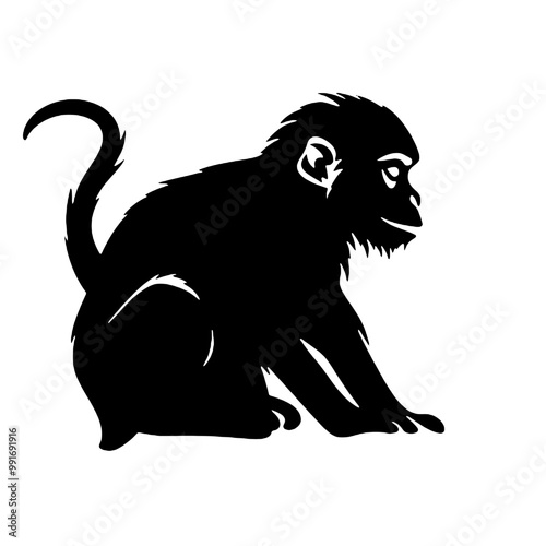 monkey  silhouette vector illustration  transparent background photo