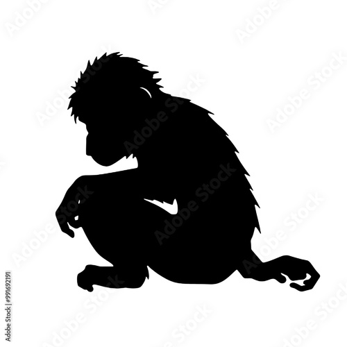 monkey  silhouette vector illustration  transparent background photo